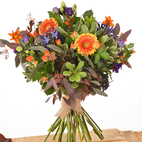 Vibrant Mix
