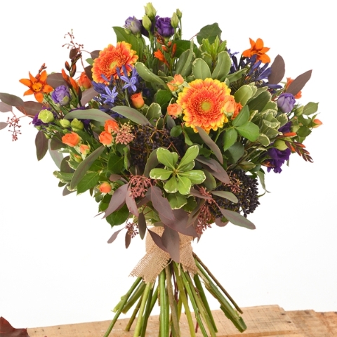 Vibrant Mix